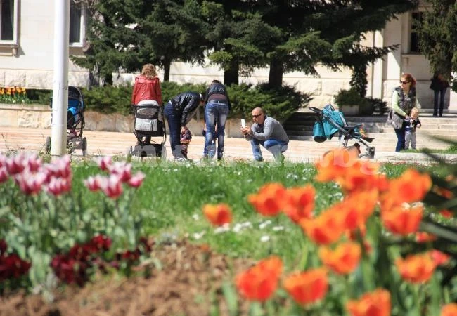 Времето: Слънчево и ветровито