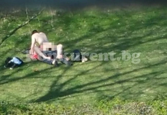 Двойка прави секс в парка пред стотици (ВИДЕО 18+)