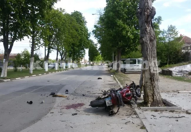 Моторист се размаза в дърво