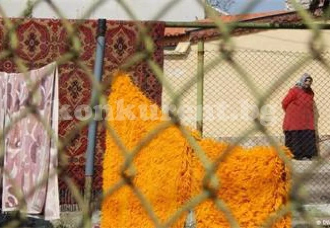Половината ромска махала на Видин вече е в германския град Кобленц