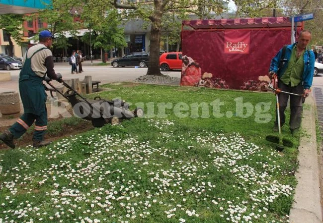 Започна косенето във Враца