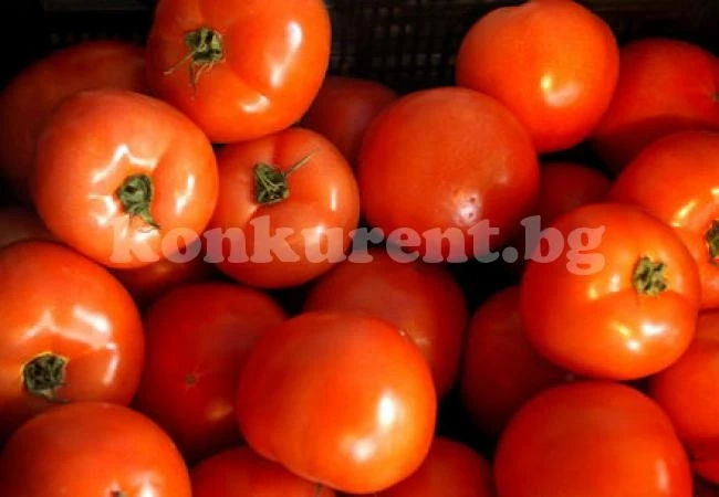 Родният домат ще бъде скъп и през май
