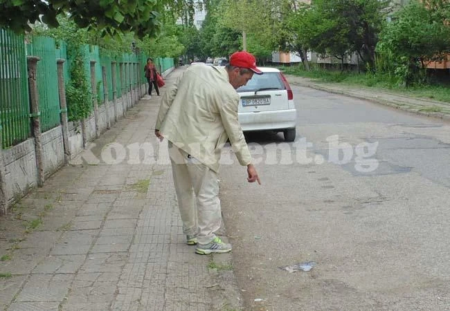 Врачани тровят кучетата в града с опасен препарат
