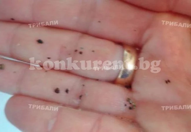 Кал и камъни потекоха от чешмите в Лом