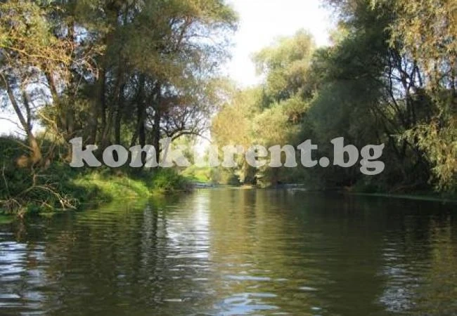 Разрешиха улова на щука
