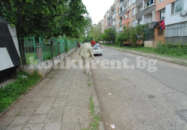 Прокуратурата се захвана с отровените кучета във Враца