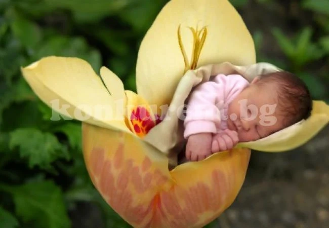 Сезонът, през който сте родени, определя характера ви