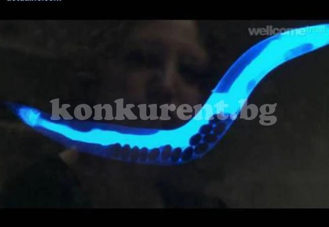 Учени откриха кой е цветът на смъртта (ВИДЕО)
