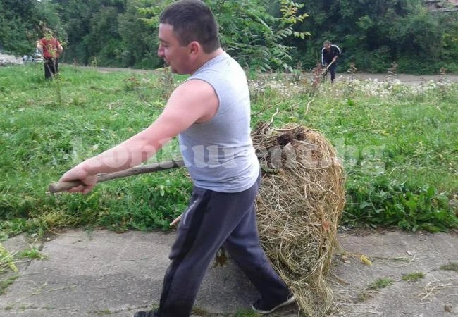 В Криводол чистиха ударно