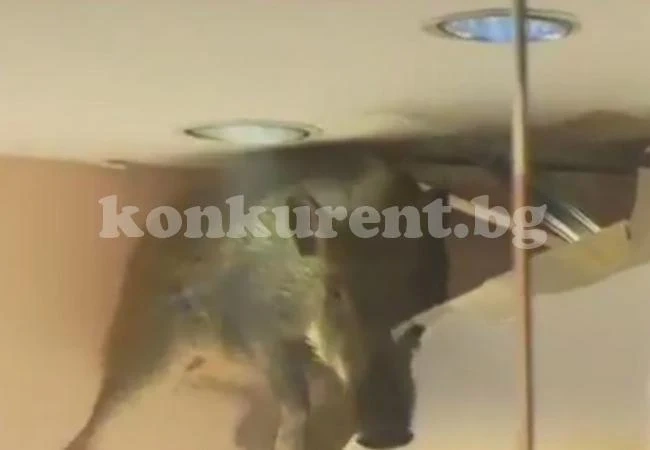 Глиган предизвика паника в мол (ВИДЕО)