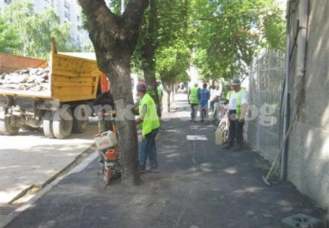 Асфалтирани дървета във Видин вече \