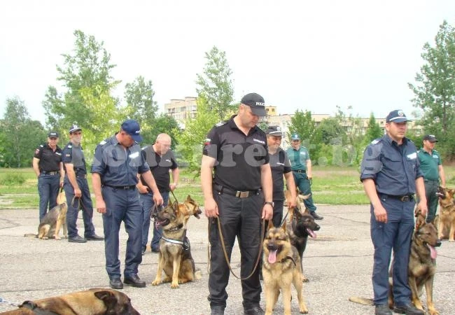 Полицейски кучета търсиха взривове и дрога в Берковица