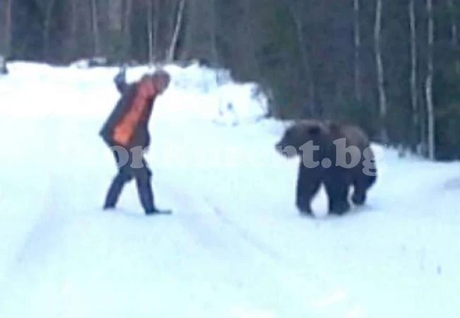 Швед изплаши мечка с мощен рев (ВИДЕО)