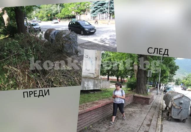 След публикация на „Конкурент“: Премахнаха опасни клони