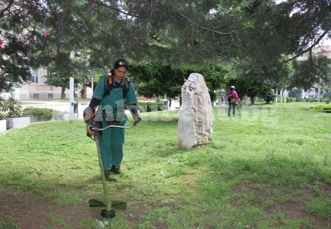 Ударно чистят Враца