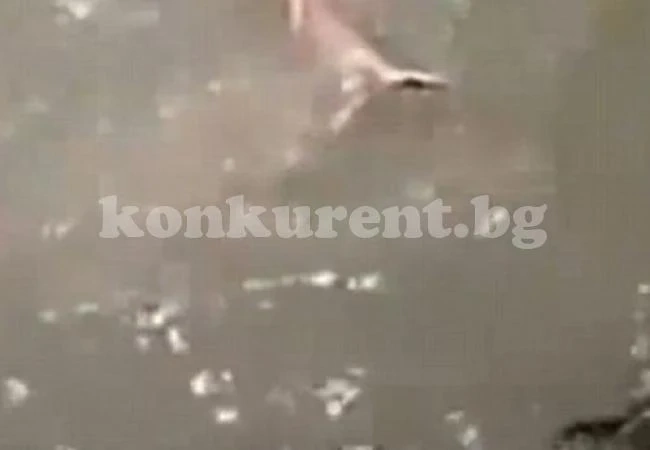Момче се удави, докато приятелите му се смеят и го снимат