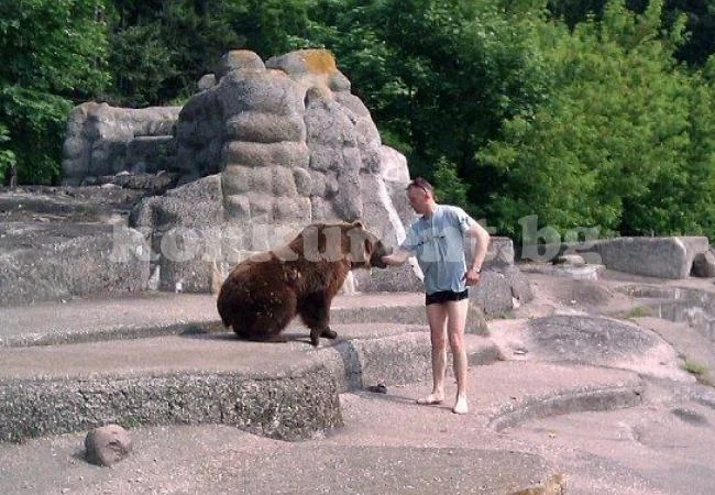 Мъж се сби с мечка в зоопарк и изчезна