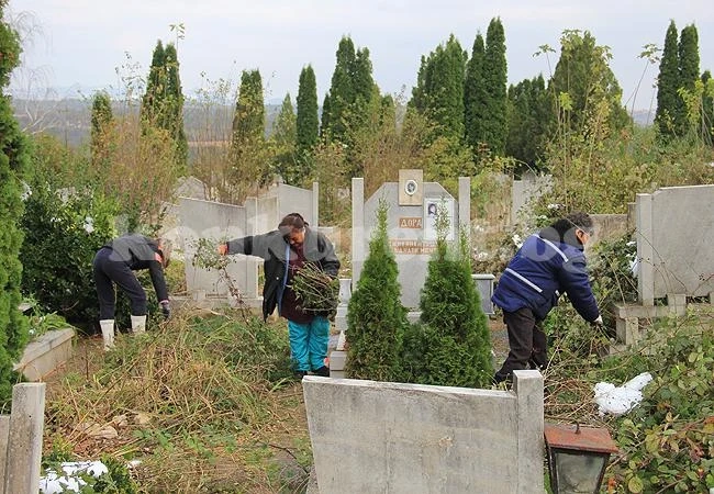 Тръгна акция такса \