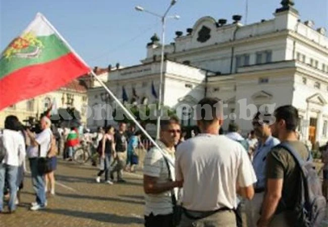 Пчеларите опушиха парламента в знак на протест