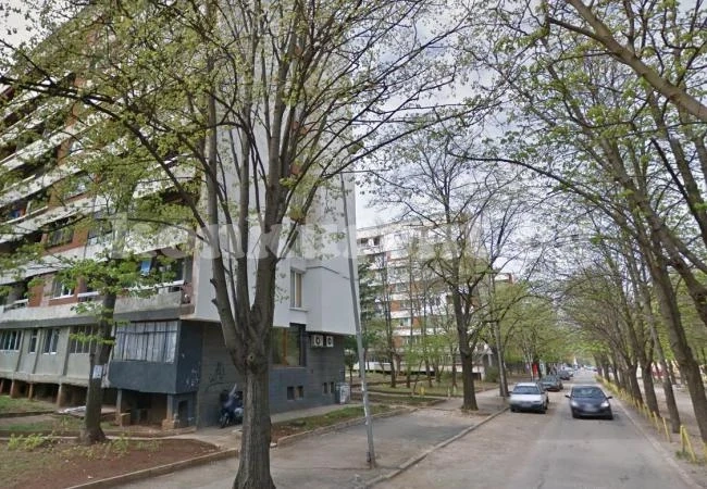 Отново избиват кучета във Враца, цял квартал е в ужас