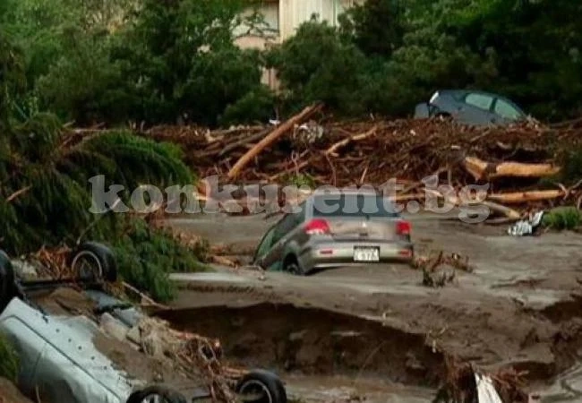 Ужасяващ потоп в Тбилиси, 10 удавени, десетки изчезнали, хищници са избягали от Зоопарка