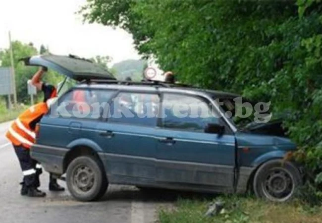 Кола се заби в дърво, пострадаха дядо и внучето му