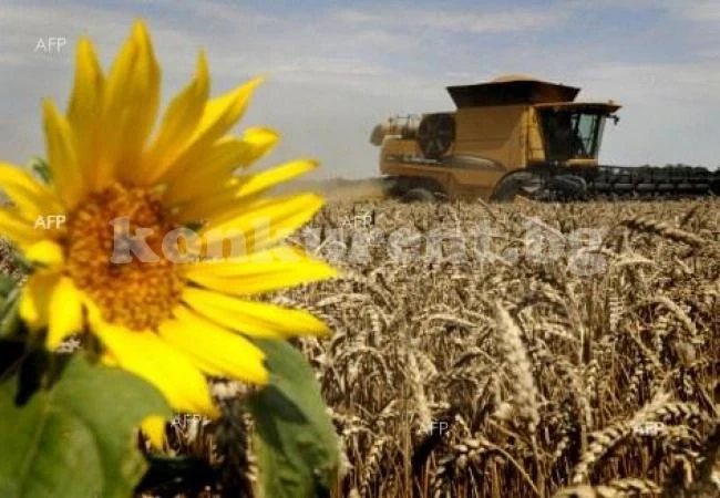АПК-Информ: Конкурентоспособността на Украйна и Русия на пазарите за зърно се увеличава 