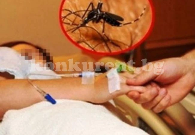 Нилската треска вече е тук! Първи случай на инфекциозното заболяване!