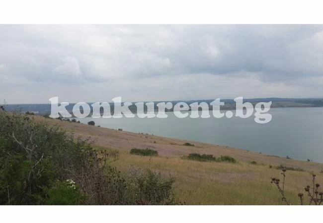 Млади хора облагородяват брега на река Огоста