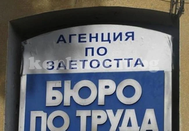 IT специалисти, бармани и готвачи ще бъдат най-търсени през следващата една година