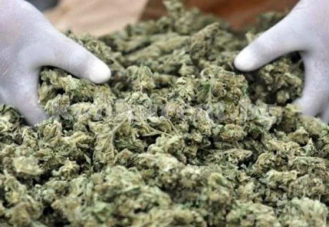 21-годишен психяса трайно от пафкане на марихуана