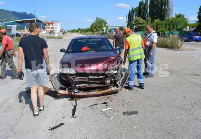 Заради буйна растителност: Две коли се удариха на пътя за Монтана