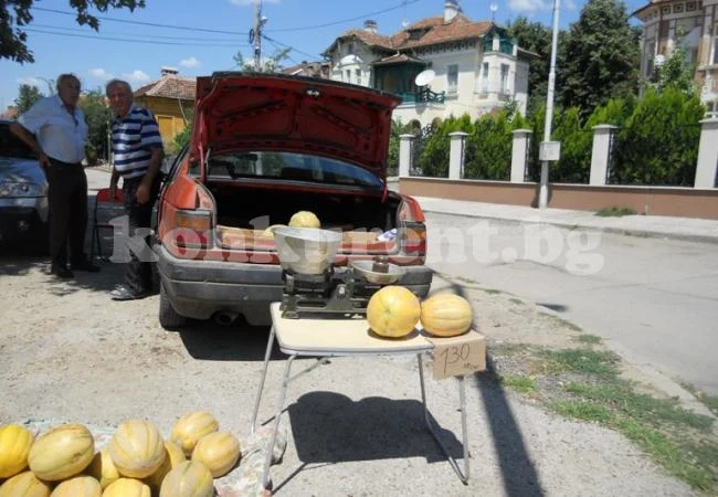 Отчитат богата реколта от ароматни пъпеши
