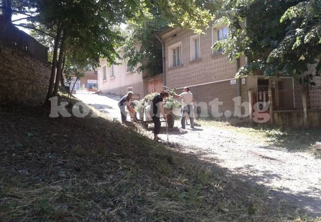 Доброволци почистиха центъра на Типченица