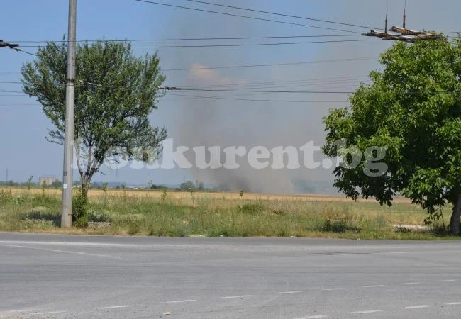 (Видео) Гасят пламналата нива край Враца
