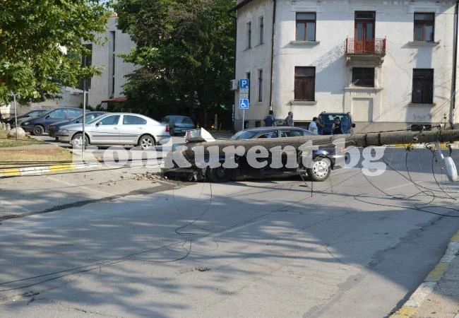 ВИДЕО: Врачанин размаза \