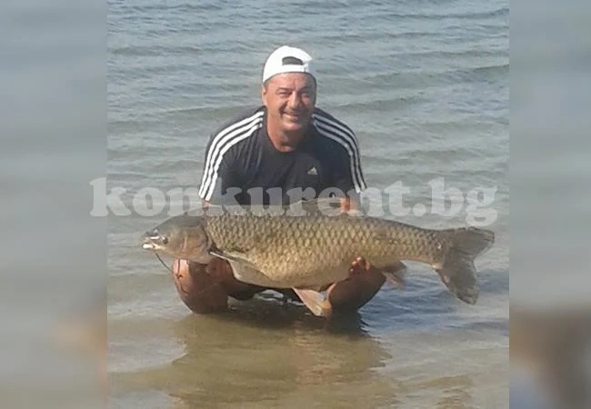 Тоци „изби“ рибата в Козлодуй