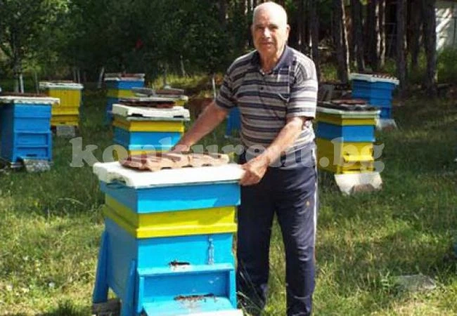 Пчелар: Медът е амброзия за душата и цяр за всичко