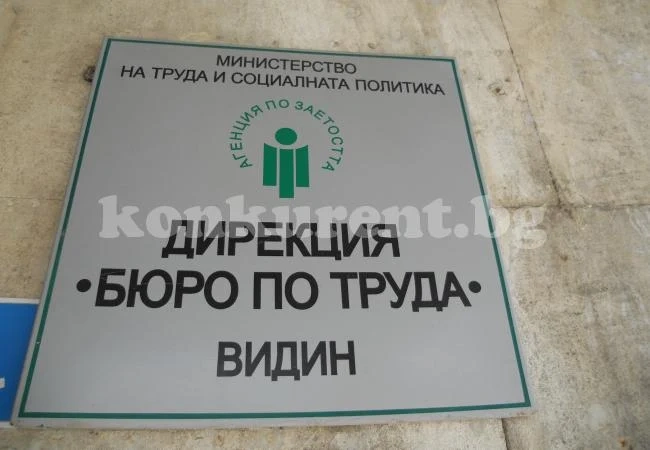 Над 8 000 видинчани чакат работа