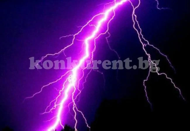 Потресаващо! Мълния уби 26 коня