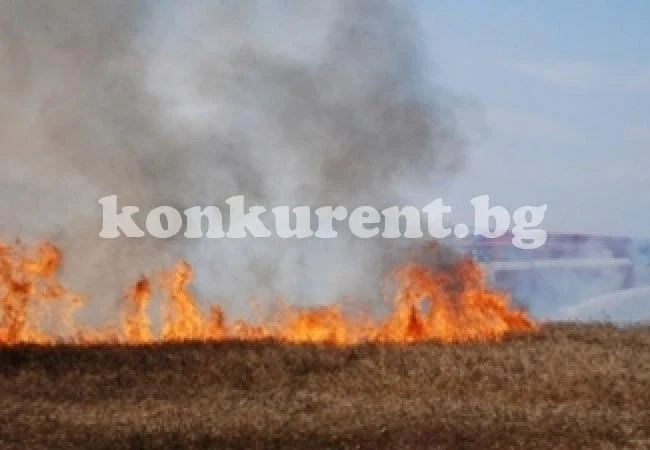 Гасиха пожар в гробище