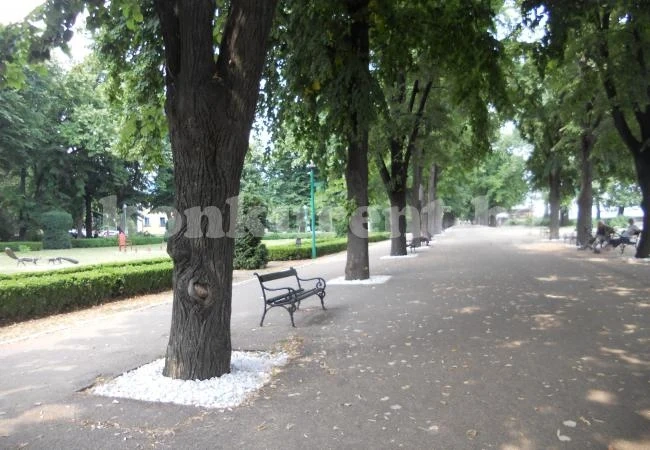 Украсиха дърветата в Крайдунавския парк