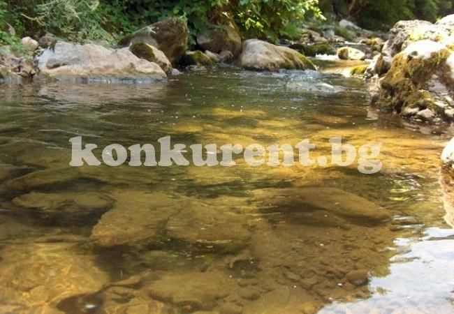 Еколози на крак заради фекални води в река Лева