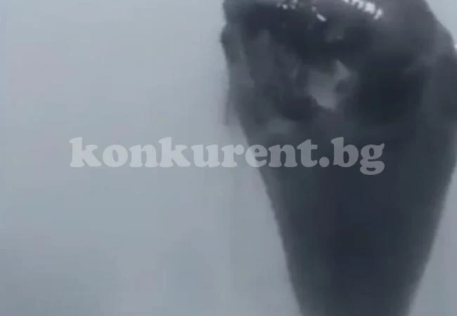 Морско чудовище едва не потопи туристи (ВИДЕО)