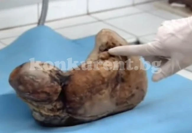 Ужас! Китайка роди каменно бебе
