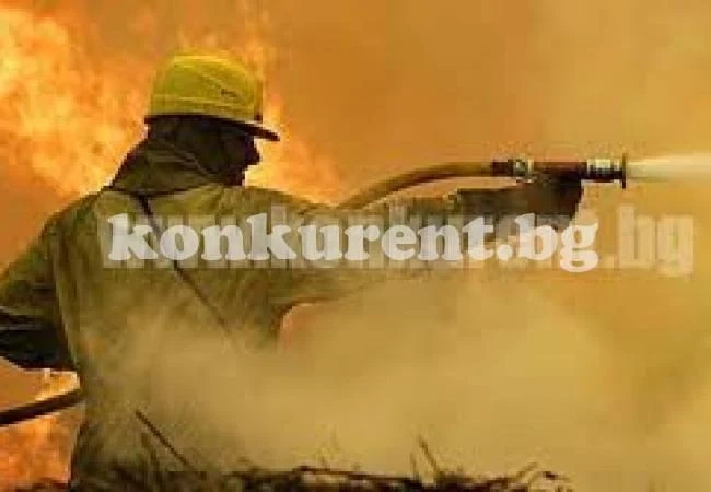 Гасиха пожар в Згориград