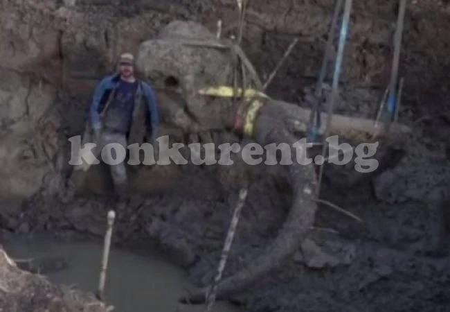 Американски фермери изровиха мамут