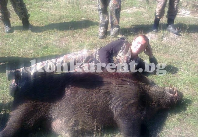 Авджия от Моравица повали 250-килограмов глиган
