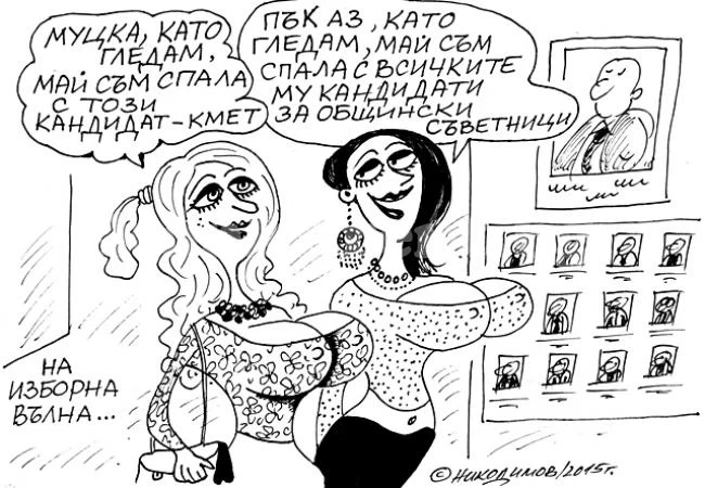 На изборна вълна..