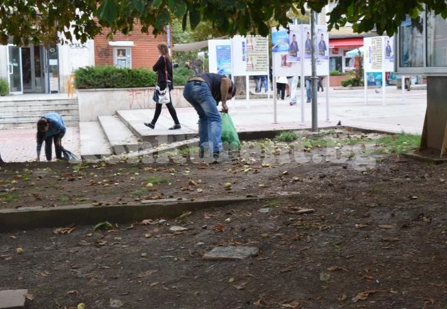 Врачани припечелват от билки и кестени
